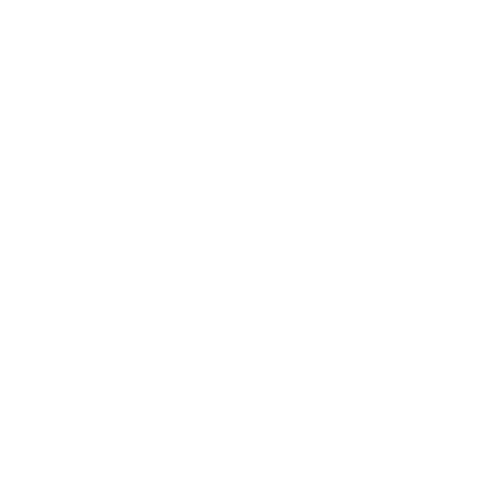 echozvuklogo